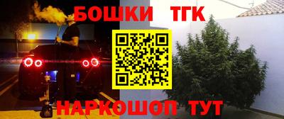 сатива Чебаркуль