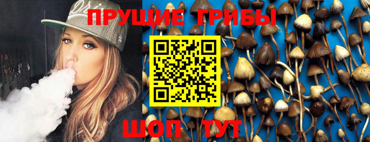 Псилоцибиновые грибы MAGIC MUSHROOMS  Вход с VPN  Артём  Галлюциногенные грибы Magic Shrooms 